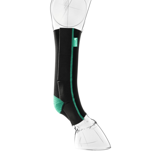 EquiCrown Active