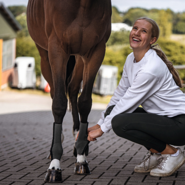 EquiCrown fit Zilver
