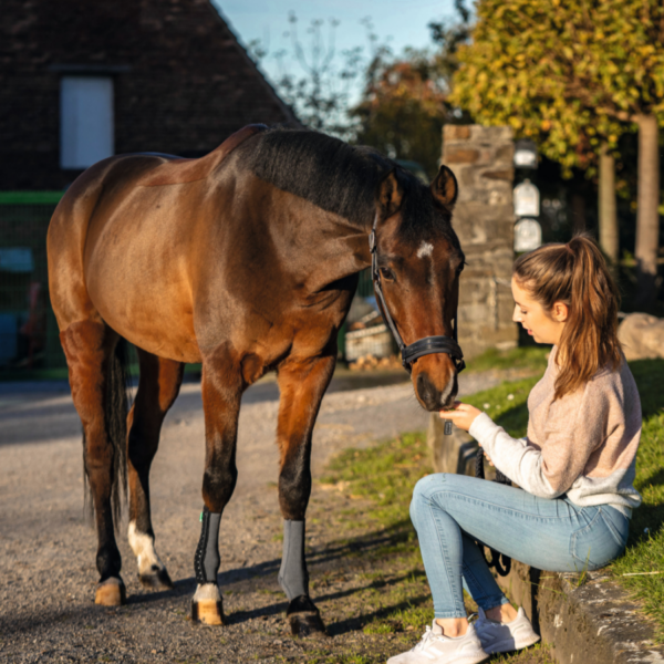 EquiCrown fit Zilver