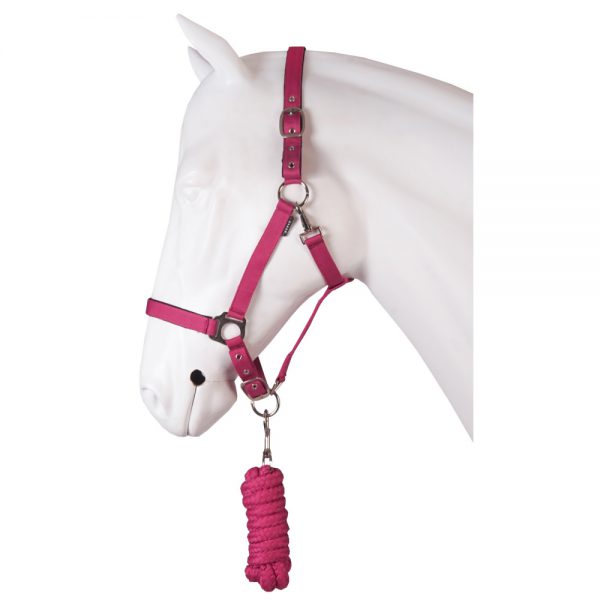 Halster-dime-roze
