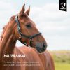 Halster-leer-katan-foto