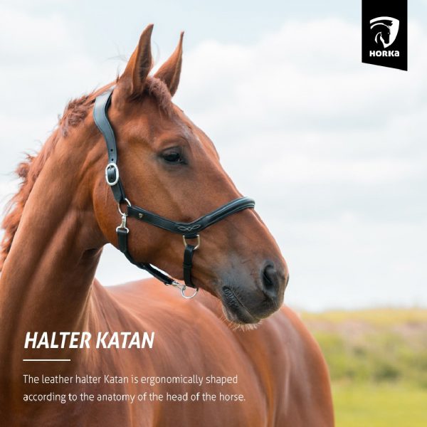 Halster-leer-katan-foto