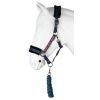 Halster-set-Ride-More-aubergine