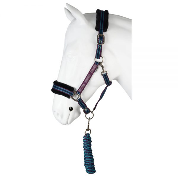 Halster-set-Ride-More-aubergine