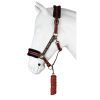 Halster-set-Ride-More-taupe