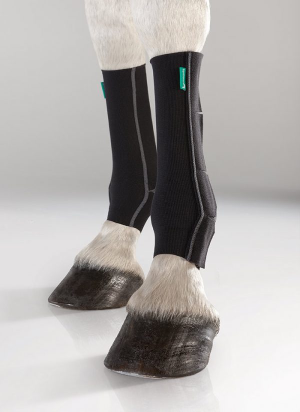 EquiCrown Active Postérieur, bandes de compression cheval