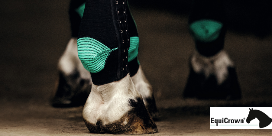 EquiCrown compressie voor paarden